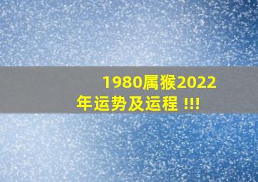 1980属猴2022年运势及运程 !!!